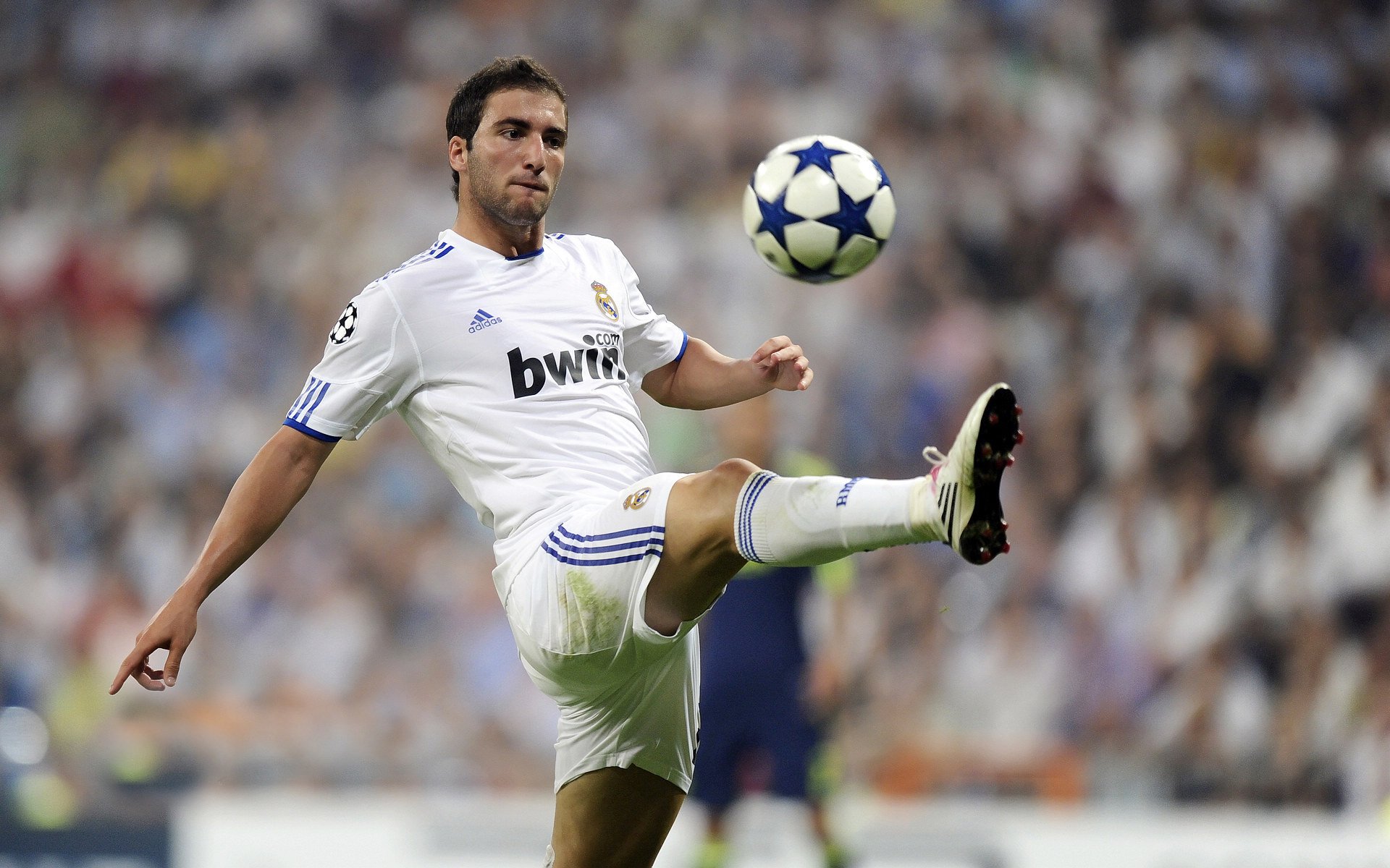 绿茵场上的逆转与球台边的惊艳,德国足球与张本智和的突破之夜